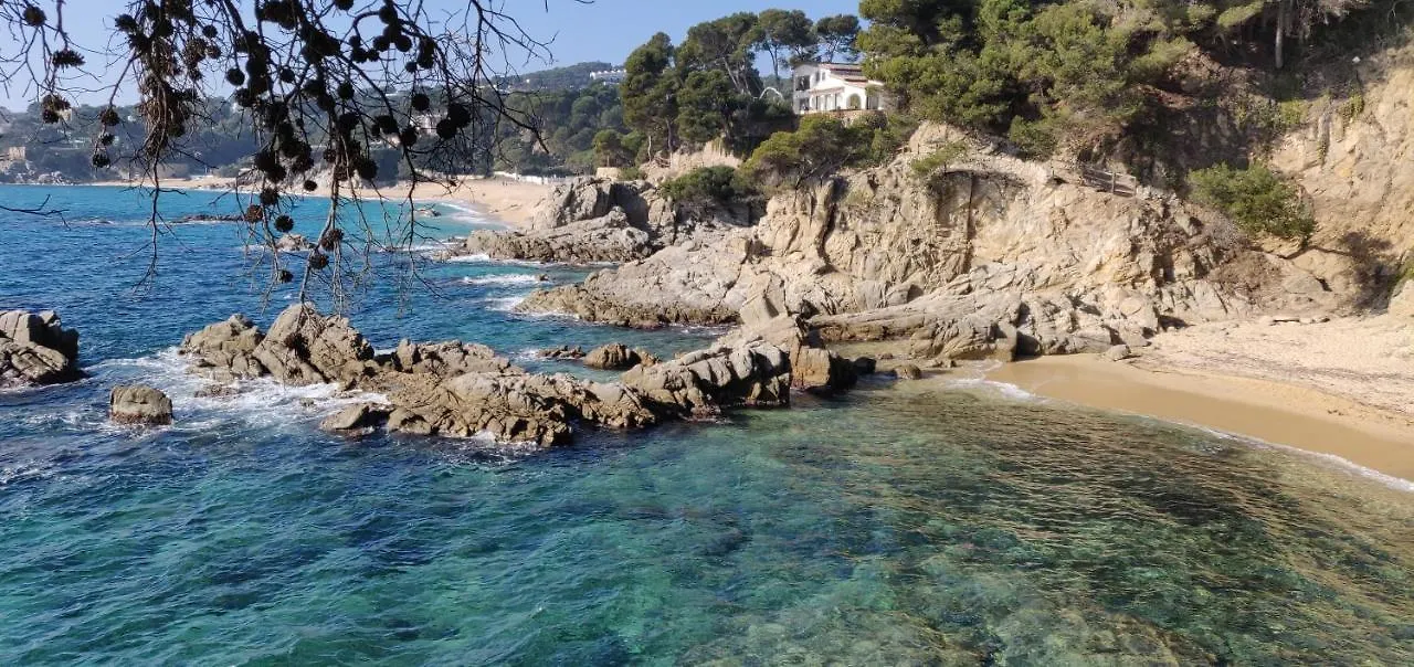 Apartamento Calella Home Calella De Palafrugell España
